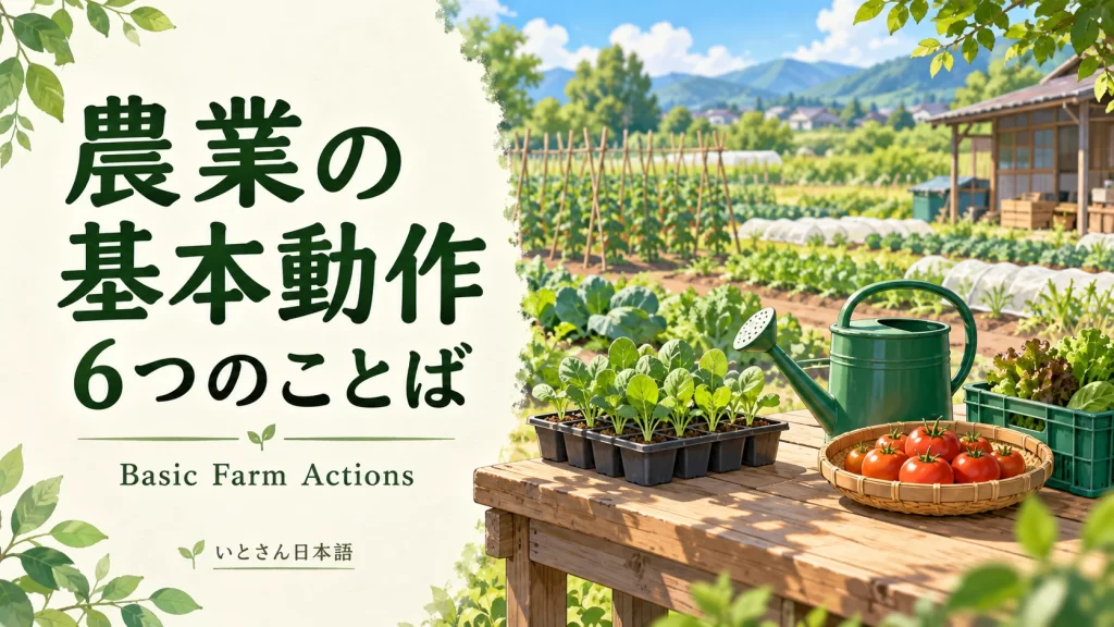 農業の基本動作6つ｜植える・水をやる・収穫するを画像で学ぼう